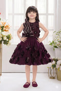 Wine Net Party Dress with 3D Floral Applique and Striped Rhinestone Bodice for Girls