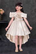Light Gold Frock With 3D flowers in High Low Pattern