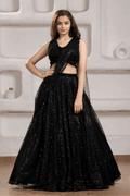 Black Sequin Embellished Lehenga Choli Set for Women