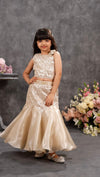 Fish Cut Lehenga for Little Girls