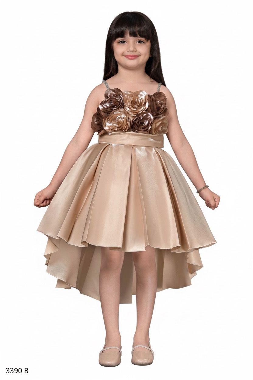 Champagne High-Low Party Dress with 3D Flowers for Girls