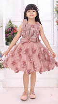 Pink Net Party Dress with 3D Floral Applique and Striped Rhinestone Bodice for Girls