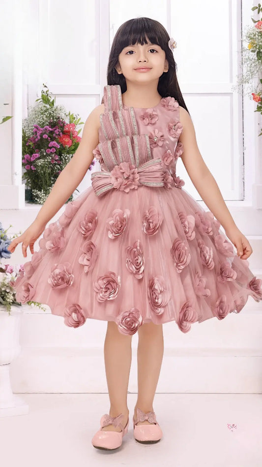 Pink Net Party Dress with 3D Floral Applique and Striped Rhinestone Bodice for Girls